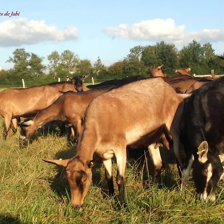 Farm stay La De Jabi *