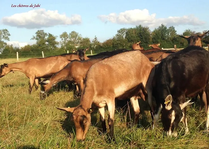 Farm stay La De Jabi *